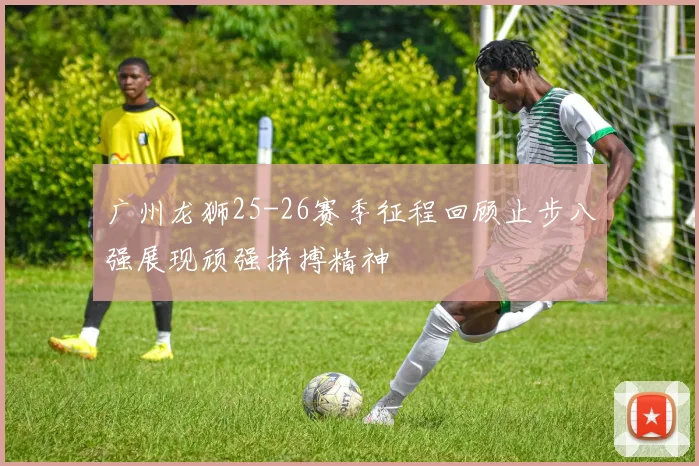 广州龙狮25-26赛季征程回顾止步八强展现顽强拼搏精神