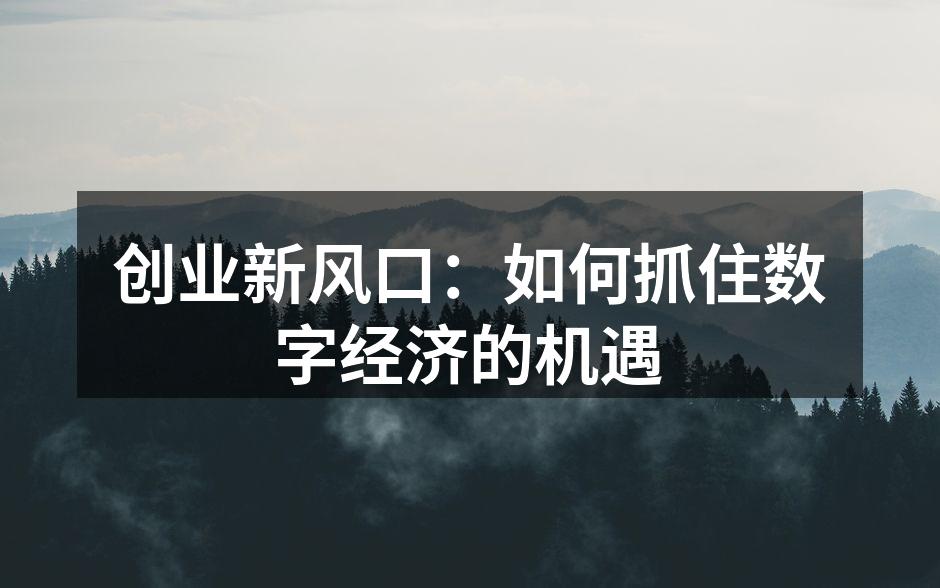 创业新风口：如何抓住数字经济的机遇
